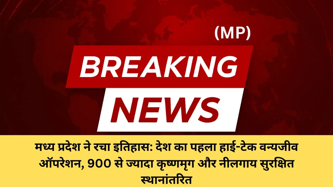 मध्य प्रदेश ने रचा इतिहास: देश का पहला हाई-टेक वन्यजीव ऑपरेशन, 900 से ज्यादा कृष्णमृग और नीलगाय सुरक्षित स्थानांतरित